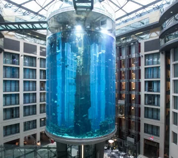 636093822830673703 Radisson Blu Hotel 360x320