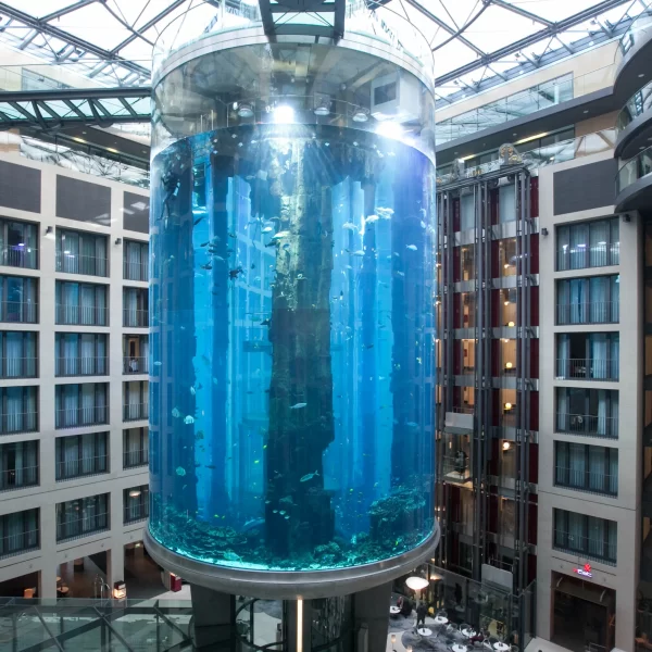 636093822830673703 Radisson Blu Hotel 600x600